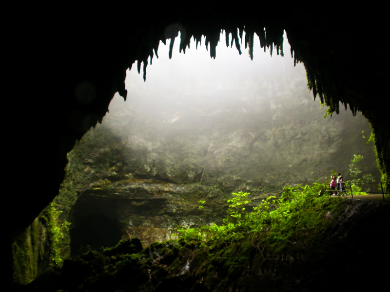 Parque de las Cavernas del Rio Camuy